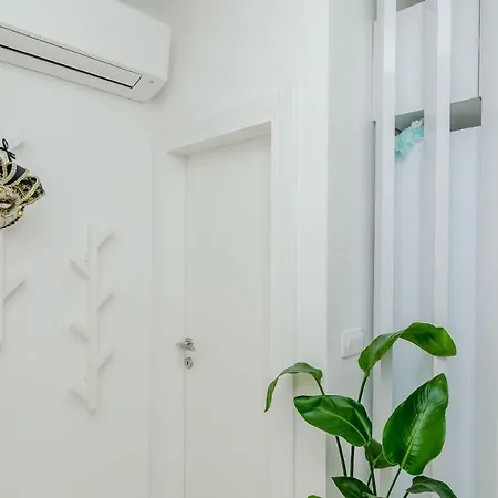 Anni *